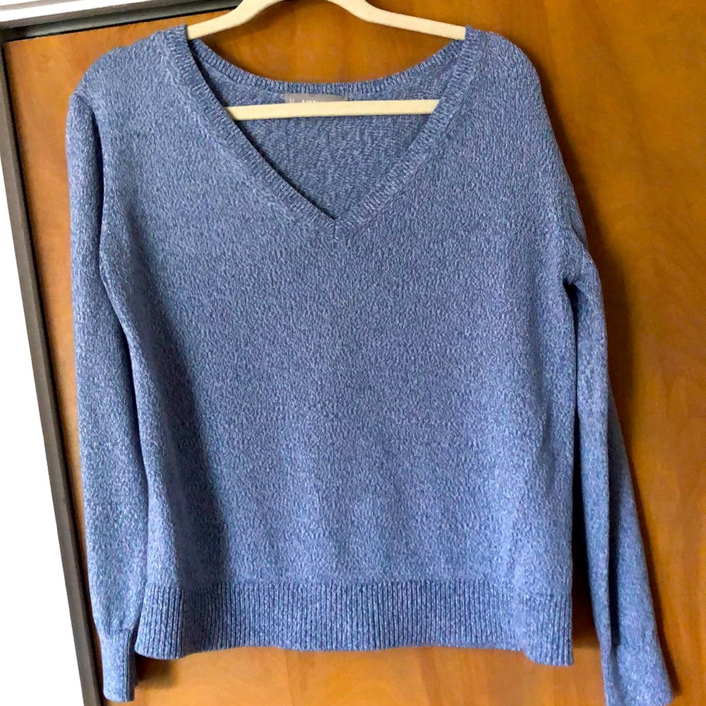 Everlane relaxed V sweater